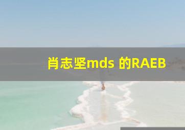 肖志坚mds 的RAEB